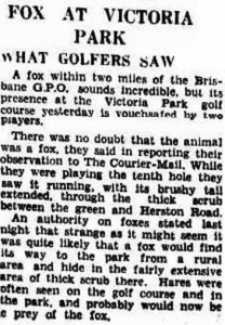 Courier-Mail, Thursday 9 May 1935
